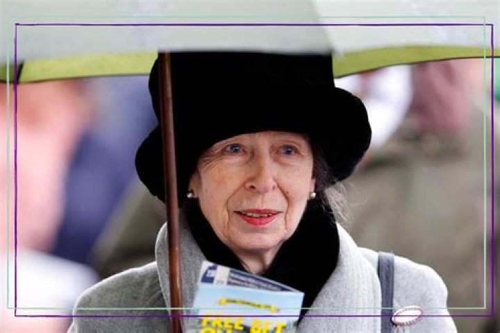 Anne Net Worth & Earnings (2024)