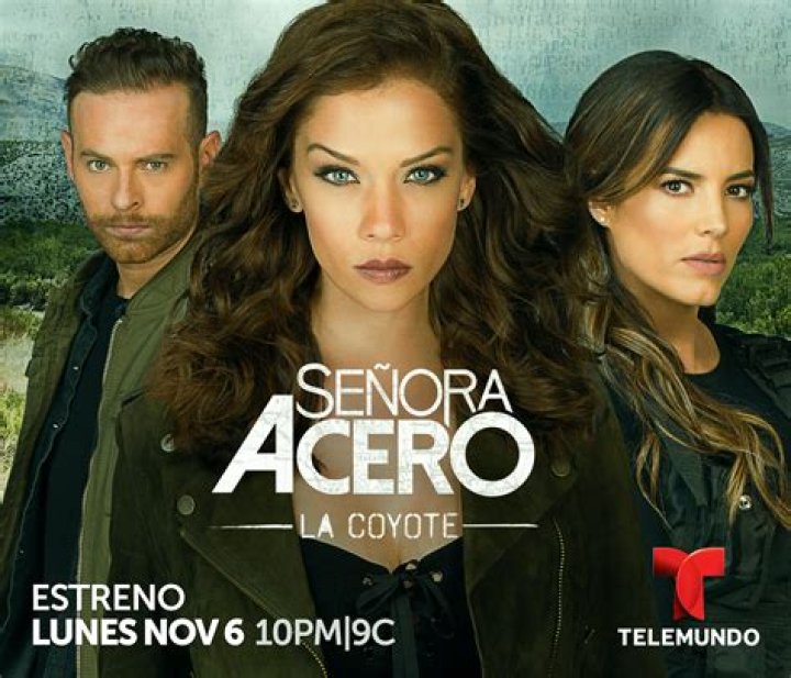 Señora Acero 4 La Coyote video statistics