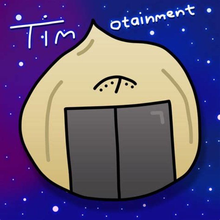 Timotainment Youtuber overview